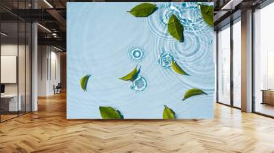 Abstract water background with round ripples and green leaves Wall mural