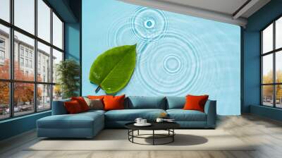 Circle ripples, waves on a transparent, clean background of water with green natural leaves Wall mural