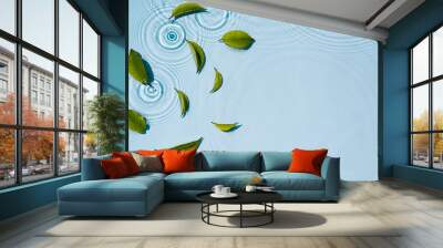 Circle ripples, waves on a transparent, clean background of water with green natural leaves Wall mural