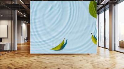 Transparent and clean blue water and green background of natural leaves Wall mural