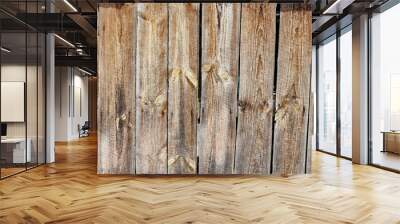 Natural wood texture closeup. Wooden background closeup Wall mural