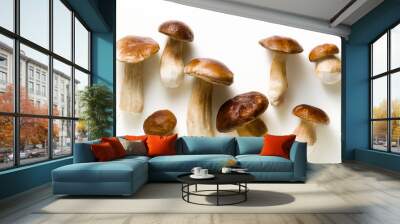 white beautiful big porcini mushrooms on a white background Wall mural