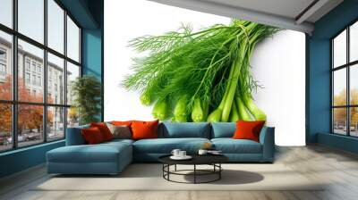 Fresh Green Dill Herb Bunch on White Background with Rubber Band, Bright and Vibrant Image Wall mural