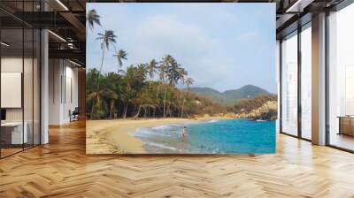 man going into the water at a tropical beach with turquoise water at tayrona natural park Wall mural