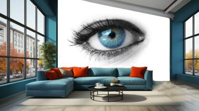 beautiful blue eye isolated on white Wall mural