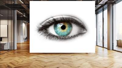 Beautiful blue human eye isolated on white macro shot Wall mural