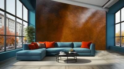 horse fur background Wall mural