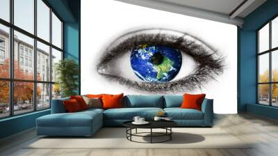 planet earth in eye isolated on white - 