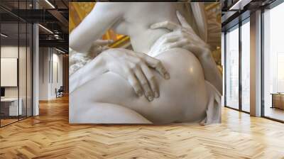 Detail of sculpture by Gian Lorenzo Bernini, Rape of Proserpine Wall mural