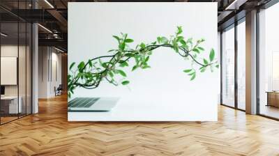 Green IT, green computing or eco-ICT information and communication technology. Environmentally Sustainable IT. Green plant growing from laptop computer on white background. Wall mural