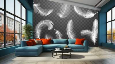 Set of isolated falling white fluffy twirled feathers on transparent background in realistic style. Vector Illustration Wall mural