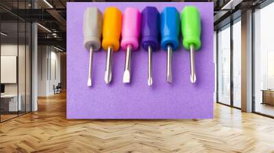 Mini colored screwdriver set on purple background Wall mural