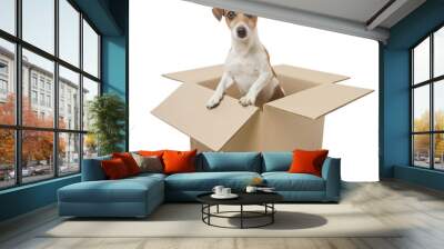 Dog inside the box package delivery Wall mural