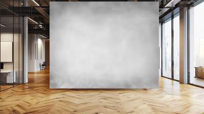 Abstract light grey blurred background. Portrait backdrop for studio. Empty textured wall. Wall mural