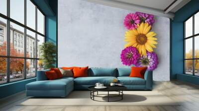 Beautiful colorful zinnias and sunflowers in full bloom on gray concrete background, top view, flat lay style. Copy space for text. Autumn floral composition. Wall mural