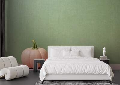 Blush pink mini pumpkin on sage green textured wall backdrop. Autumn copyspace background. Wall mural