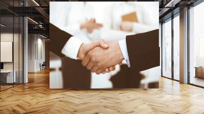 Businessman and woman shaking hands with colleagues at the background. Handshake at meeting in office. Concept of success in business Wall mural