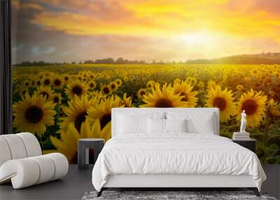 Dramatic sky at sunset over a sunflower field in Yorkshire Wall mural