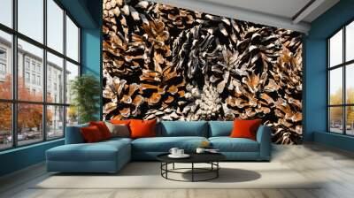 Dry pine cones background Wall mural