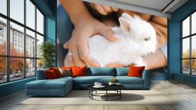 family take care of a baby rabbit Wall mural