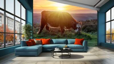 Freerange cow in a pasture grazing on green meadow in The National Park Peak District in England Wall mural