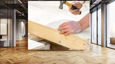 Joiner carpenter assembling formwork shutter. Crafting a wooden structure with precise hammer strikes at a sunny outdoor workshop in the afternoon Wall mural