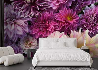 Many beautiful blooming dahlia flowers, floral summer background. Colorful dahlias in full bloom Wall mural