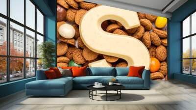 Dutch holiday Sinterklaas background with chocolate letter, kruidnoten cookies and traditional hollands sweets. Concept for children party Saint Nicholas day five december with copy space. Overhead Wall mural