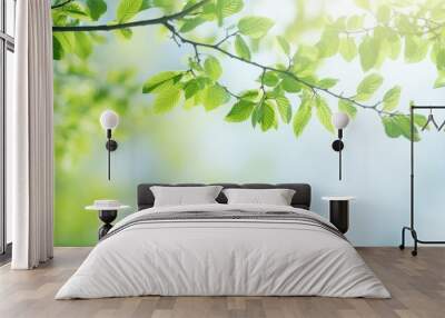 Nature's vibrant summer scene with lush green leaves on branches under bright sunlight. Wall mural