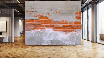 Old brick wall with cement dressing texture for background Wall mural