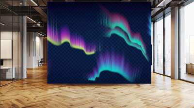 arctic aurora borealis, polar lights, northern natural phenomena isolated on dark background Wall mural