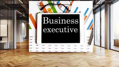 The tablet with text BUSINESS EXECUTIVE on business charts and pen Wall mural