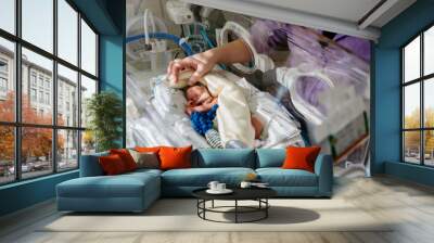 Unrecognizable mother touch and care premature baby placed in a medical incubator. Neonatal intensive care unit in hospital. Wall mural