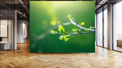 Fresh young green leaves of twig tree growing in spring. Beautiful green leaf nature outdoor background with copy space Wall mural