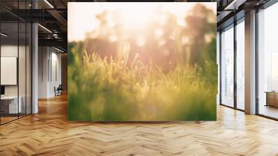 Green grass background with sun shine Wall mural