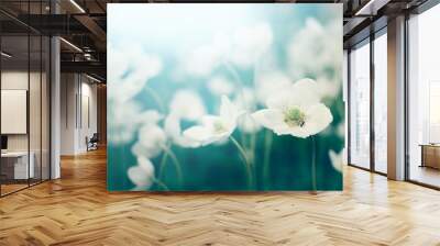 White flowers blossoming. Nature background Wall mural