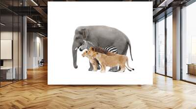 group of african animals on white background isolated Wall mural