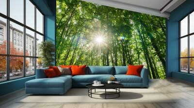 sun shining through the forest Wall mural