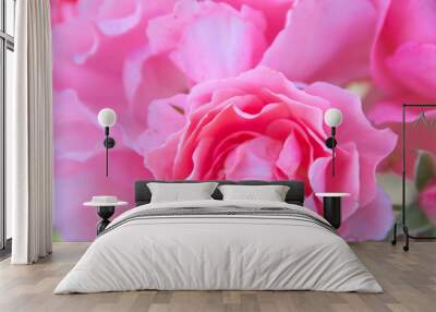 Petals romantic flowers pink macro Wall mural