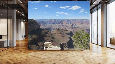 Picturesque view of the Grand Canyon on a sunny day, view from the South Rim Trail  Wall mural