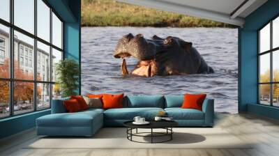 A day in the life of the African Wilderness! Wall mural