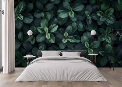 Close-up of tropical green leaves in nature Wall mural