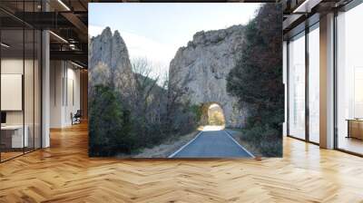 A paved street going through a road tunnel in a grey rock wall during winter, with bare branches trees at sunset, in Foz de Binies, in Aragon, Spain Wall mural