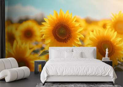 Field of blooming sunflowers in sunshine isolated on Wall mural