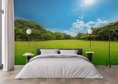 Green grass green trees in beautiful park white Clouds and blue sky in noon. Wall mural