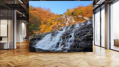 Beautiful view of Mae Ya Waterfall on a warm day in the morning in the summer, northern of Thailand Wall mural