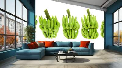 Cluster of set green raw cavendish bananas with isolated on transparent background png Wall mural