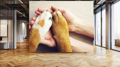 Dog paws with a spot in the form of heart and human hand close up, top view. Conceptual image of friendship, trust, love, the help between the person and a dog Wall mural