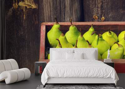 fresh green pears in a red wooden box. autumn crop of pears Wall mural