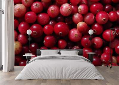 fresh juicy berries of a forest red cranberry close up. textural red bright berry background Wall mural